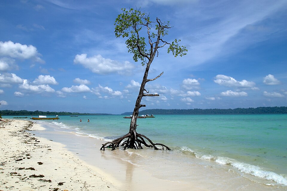 Andaman tour package